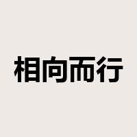 相向而行是什么意思