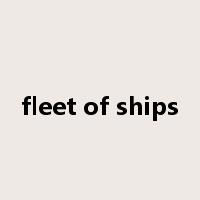 fleet of ships是什么意思