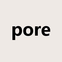 pore是什么意思