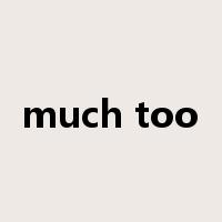 much too是什么意思