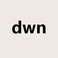 dwn是什么意思