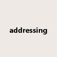 addressing是什么意思