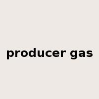producer gas是什么意思