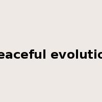 peaceful evolution是什么意思