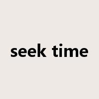 seek time是什么意思