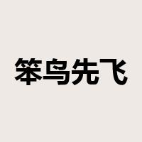 笨鸟先飞是什么意思