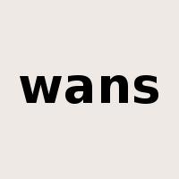 wans是什么意思