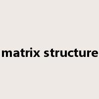 matrix structure是什么意思