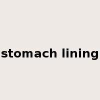 stomach lining是什么意思
