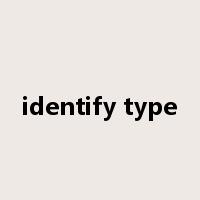 identify type是什么意思