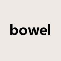 bowel是什么意思
