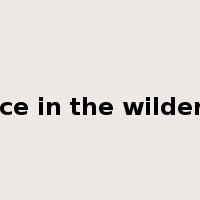 a voice in the wilderness是什么意思