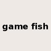game fish是什么意思