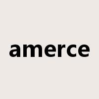 amerce是什么意思