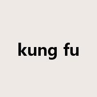 kung fu是什么意思