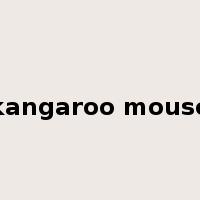 kangaroo mouse是什么意思