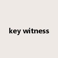 key witness是什么意思