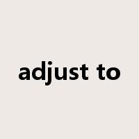 adjust to是什么意思