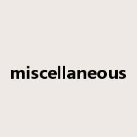 miscellaneous是什么意思