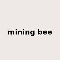 mining bee是什么意思