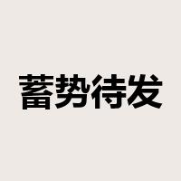 蓄势待发是什么意思