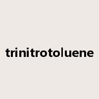trinitrotoluene是什么意思
