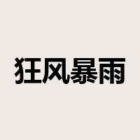 狂风暴雨是什么意思