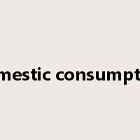 domestic consumption是什么意思