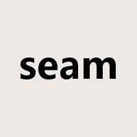 seam是什么意思