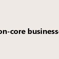 non-core businesses是什么意思