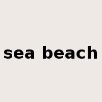 sea beach是什么意思