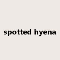 spotted hyena是什么意思