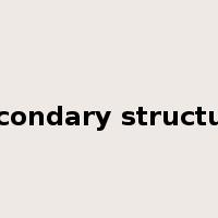 secondary structure是什么意思
