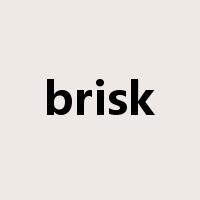 brisk是什么意思