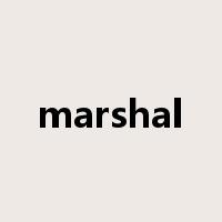 marshal是什么意思