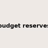 budget reserves是什么意思