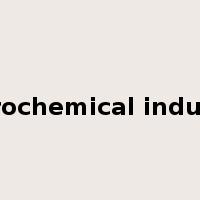 petrochemical industry是什么意思