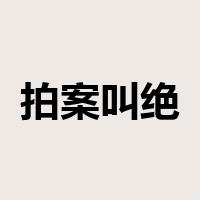 拍案叫绝是什么意思