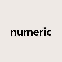 numeric是什么意思