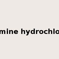 thiamine hydrochloride是什么意思