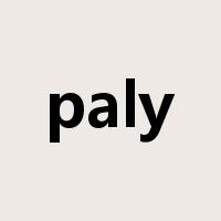 paly是什么意思