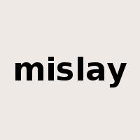 mislay是什么意思