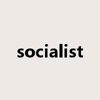 socialist是什么意思
