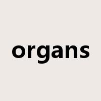 organs是什么意思