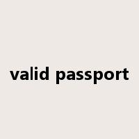 valid passport是什么意思