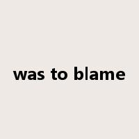 was to blame是什么意思