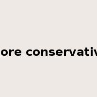 more conservative是什么意思
