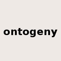 ontogeny是什么意思