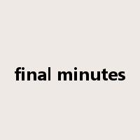 final minutes是什么意思