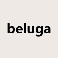 beluga是什么意思